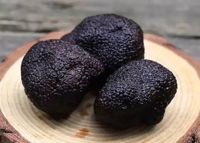 松露的功效与作用(白松露的功效与作用) 松露的功效与作用(白松露的功效与作用)