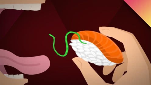 胆道蛔虫症(胆道蛔虫症是什么虫)