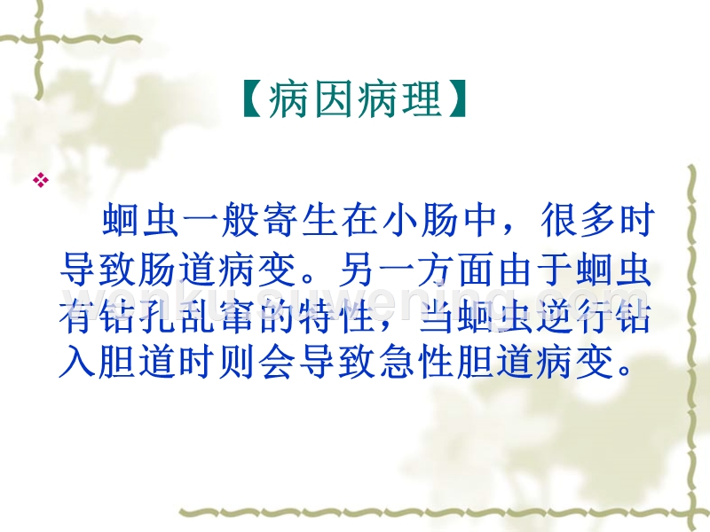 胆道蛔虫症(胆道蛔虫症是什么虫)