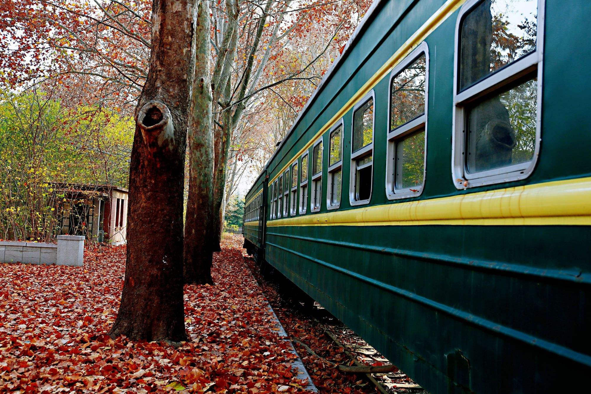 离别的图片(亲人离别的图片)