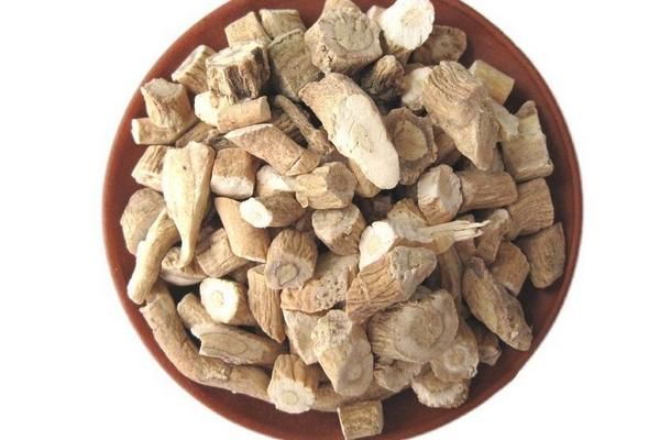 板蓝根的功效与作用(板蓝根的功效与作用图片)