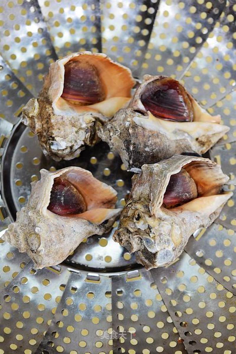 海螺蒸多久(皮皮虾海螺蒸多久)