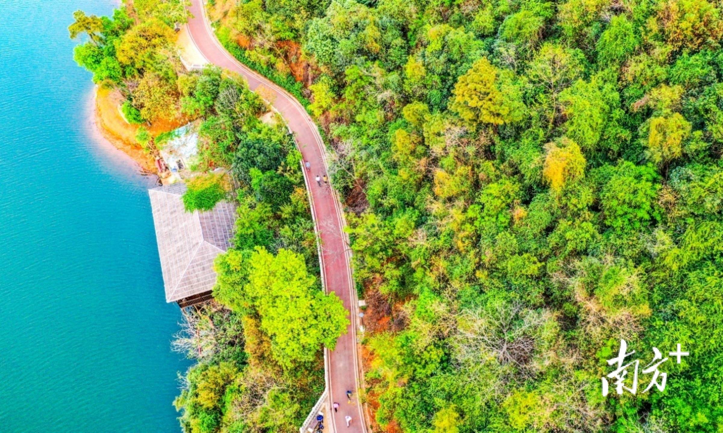 碧道(碧道的内涵和工作任务)