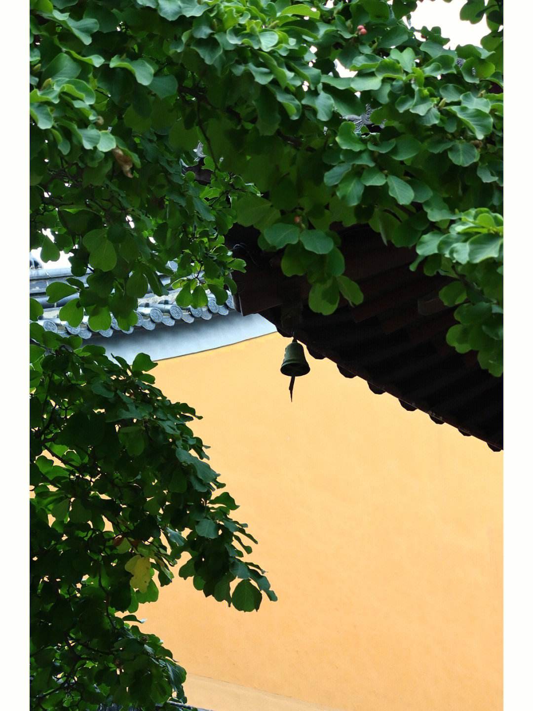 南京灵谷寺(南京灵谷寺坐几号线)