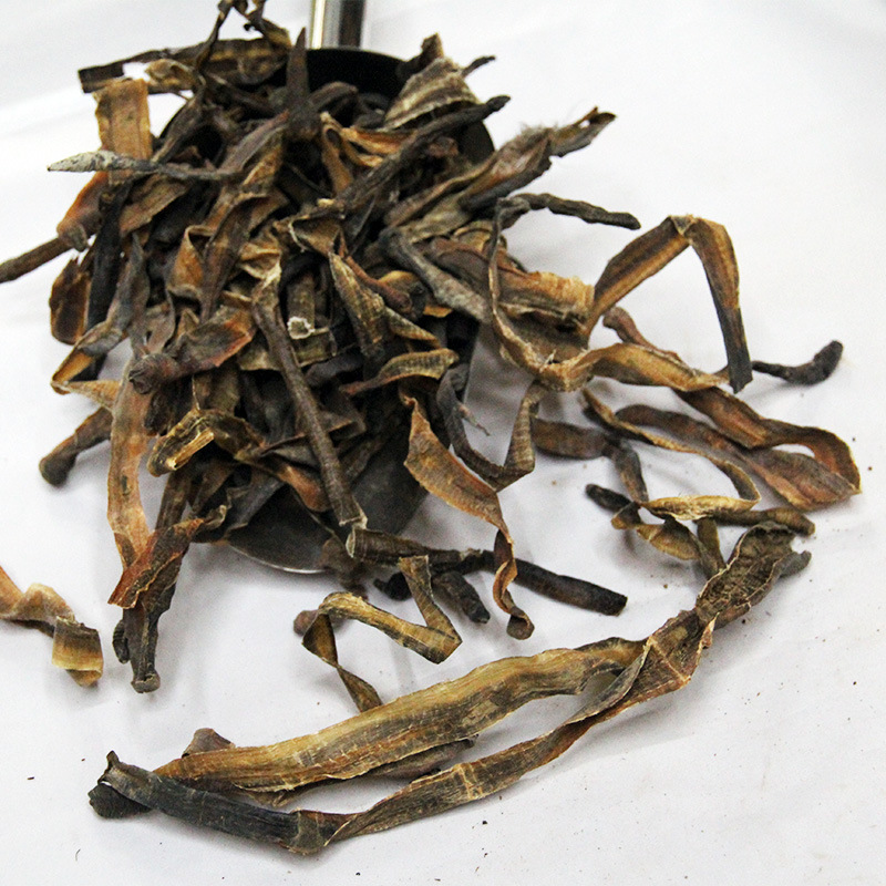 地龙是什么东西(地龙是什么东西什么动物) 地龙是什么东西(地龙是什么东西什么动物)