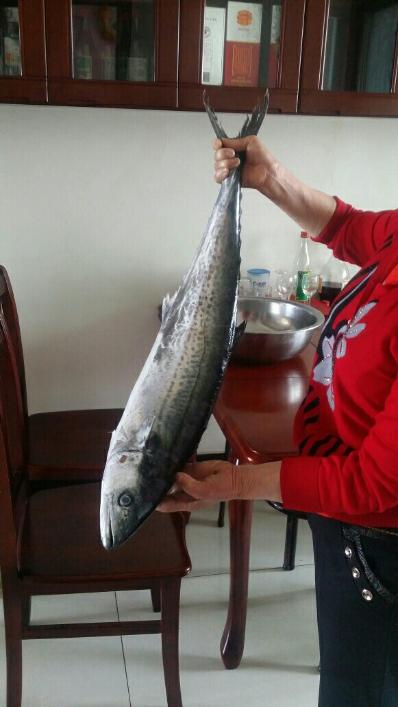 清炖鲅鱼(清炖鲅鱼的家常做法)