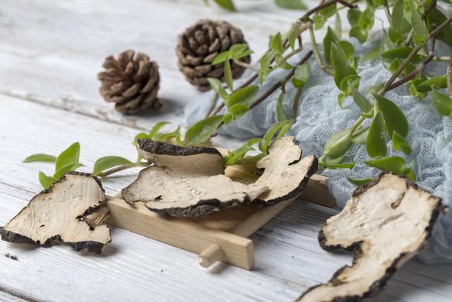 绵萆薢怎么读(中药绵萆薢怎么读) 绵萆薢怎么读(中药绵萆薢怎么读)