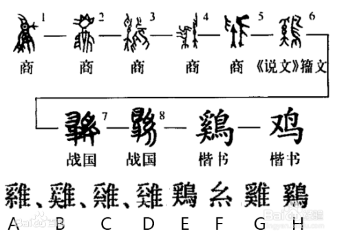 鸡笼的拼音(鸡笼的拼音怎么写的拼)