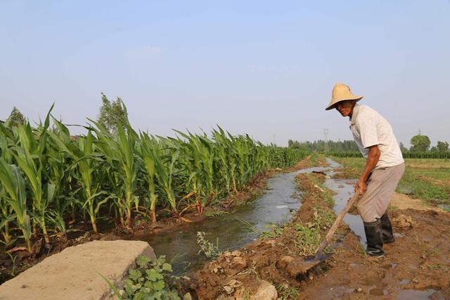 灌溉田地(女人梦到浇水灌溉田地)