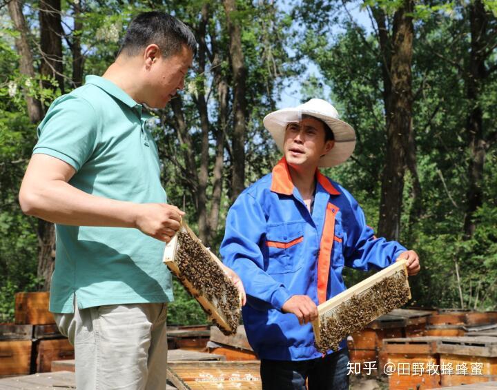 蜂蜜能带上火车吗(蜂蜜能不能过火车安检)
