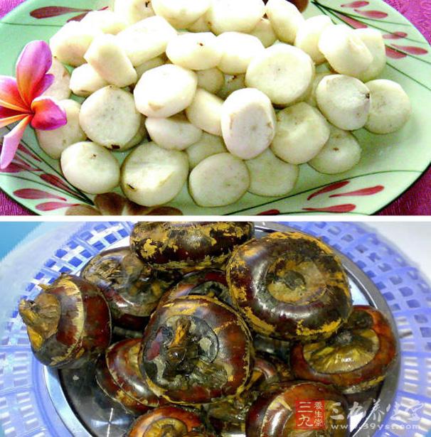 马蹄的营养价值(马蹄的营养价值高吗)