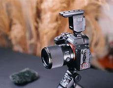 林的繁体字怎么写(林的繁体字怎么写好看)