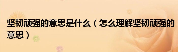 不屈不挠的近义词(不屈不挠的近义词两个字)