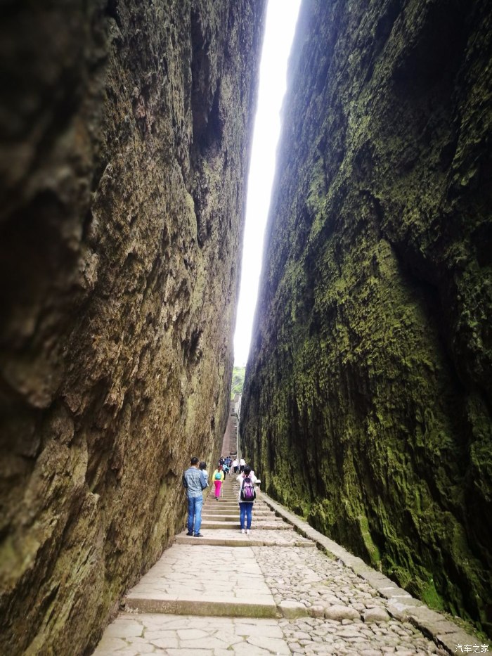 灵阳(灵阳黑乌)