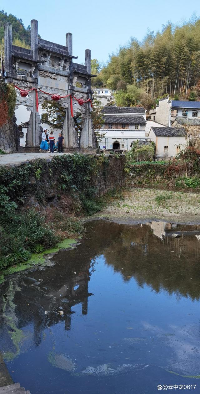 灵阳(灵阳黑乌)