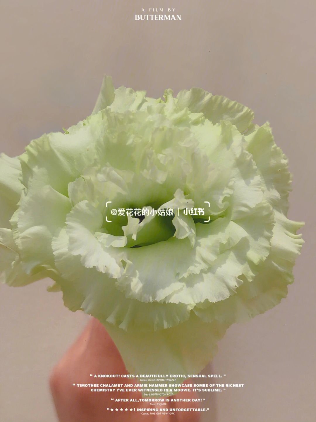 绿桔梗(绿桔梗的花语和寓意) 绿桔梗(绿桔梗的花语和寓意)