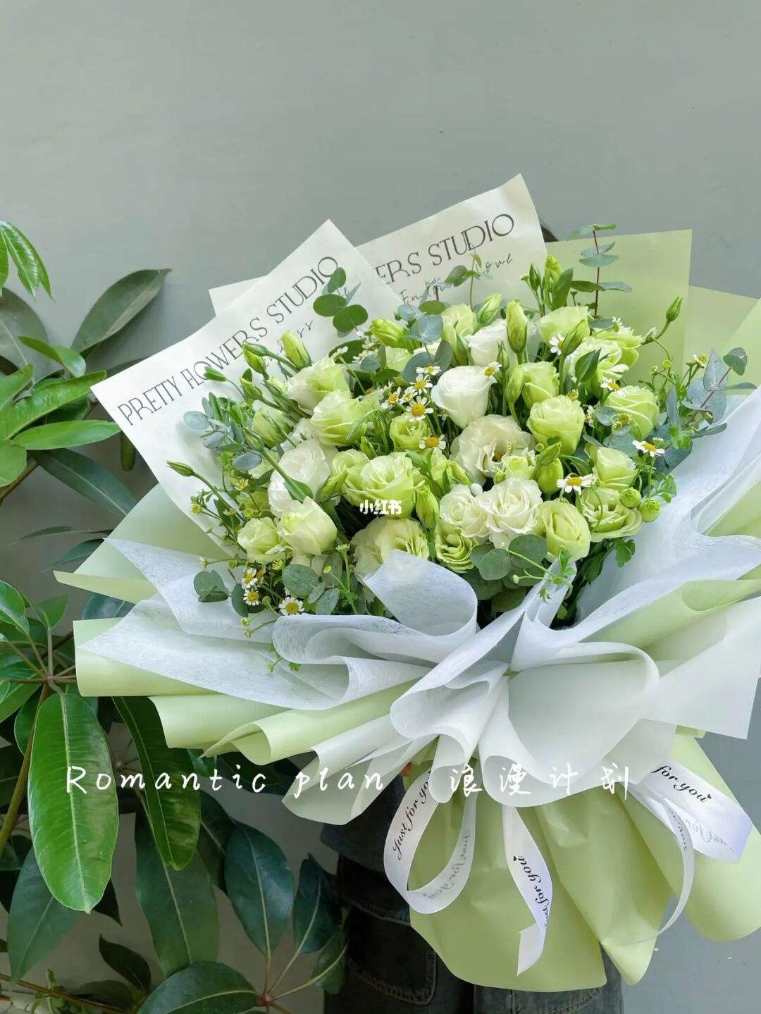 绿桔梗(绿桔梗的花语和寓意) 绿桔梗(绿桔梗的花语和寓意)