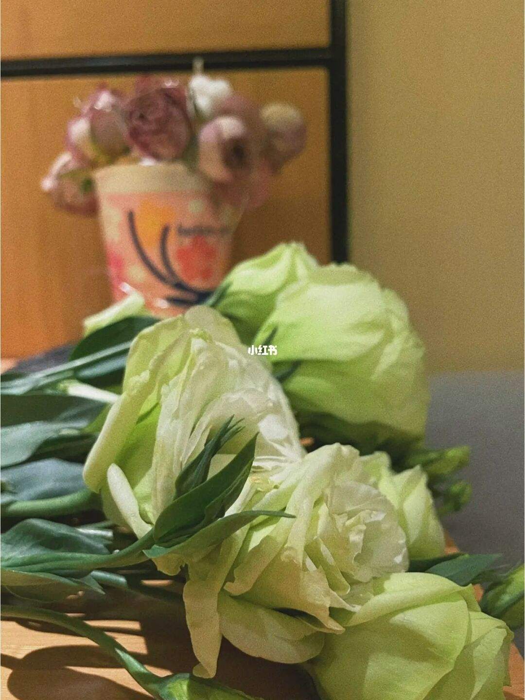 绿桔梗(绿桔梗英文名) 绿桔梗(绿桔梗英文名)