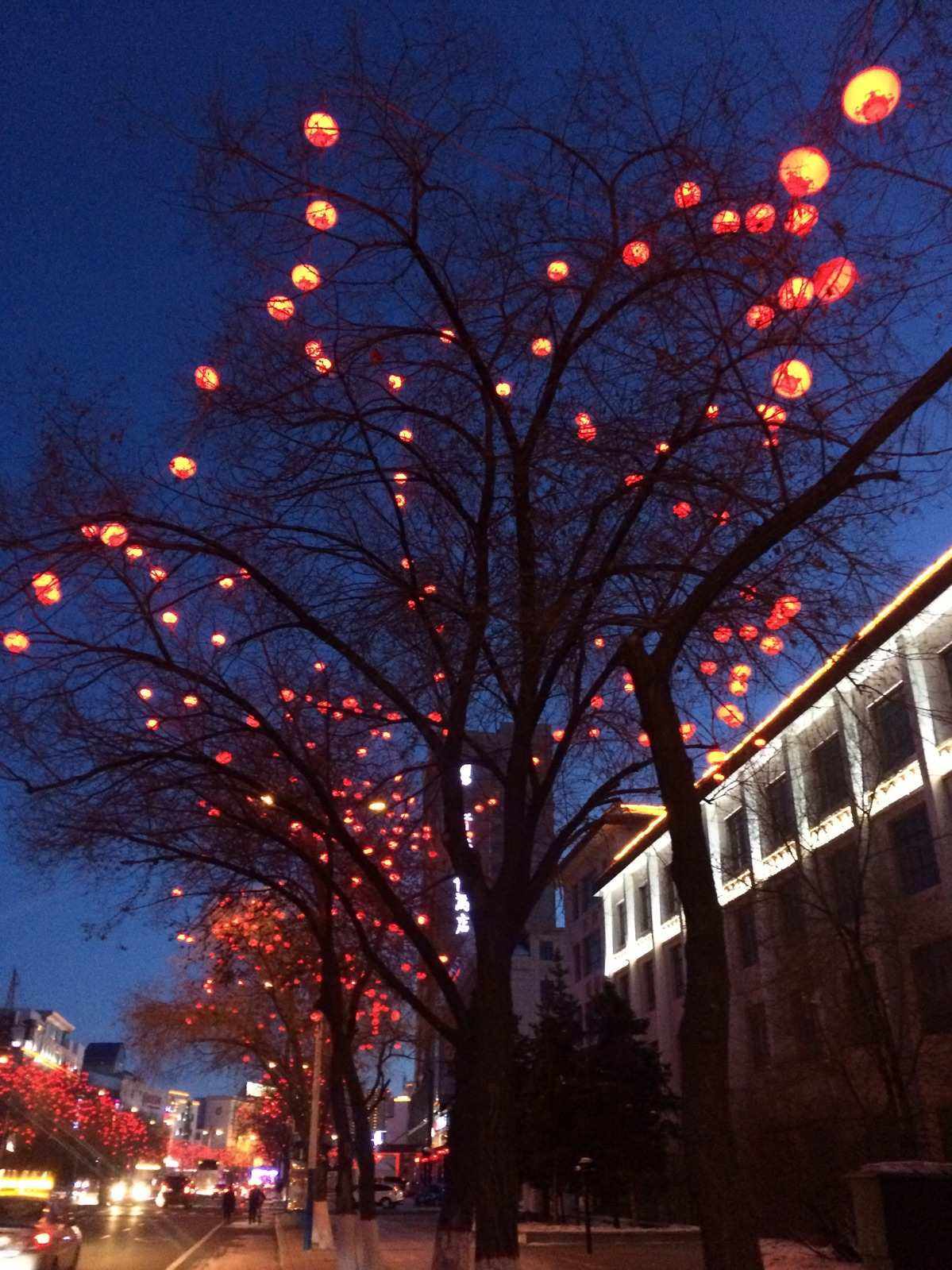 火树银花是什么意思(火树银花是什么意思树) 火树银花是什么意思(火树银花是什么意思树)