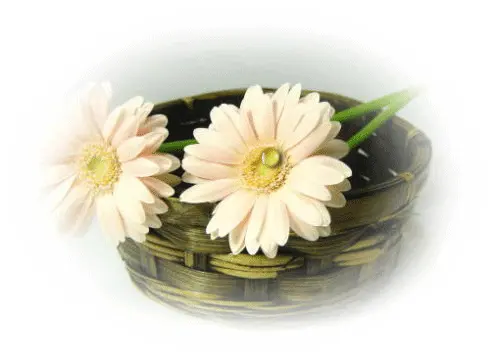 哀思的意思(白马素车挥别泪,青天碧海寄哀思的意思)