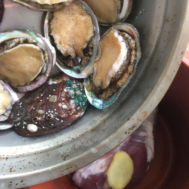 鲍鱼怎么去内脏(如何清理鲍鱼内脏) 鲍鱼怎么去内脏(如何清理鲍鱼内脏)