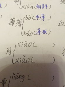骨多音字组词(骨多音字组词组词语)
