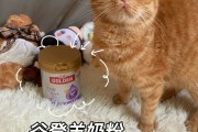 猫咪可以喝羊奶吗的简单介绍