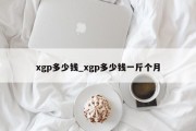 xgp多少钱_xgp多少钱一斤个月
