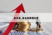 金毛毫_金毛毫英德红茶