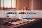 u盘修复软件_U盘修复软件DiskGenius