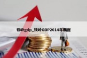 铁岭gdp_铁岭GDP2014年断崖